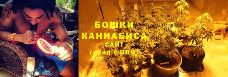 Конопля Ganja  Воскресенск 